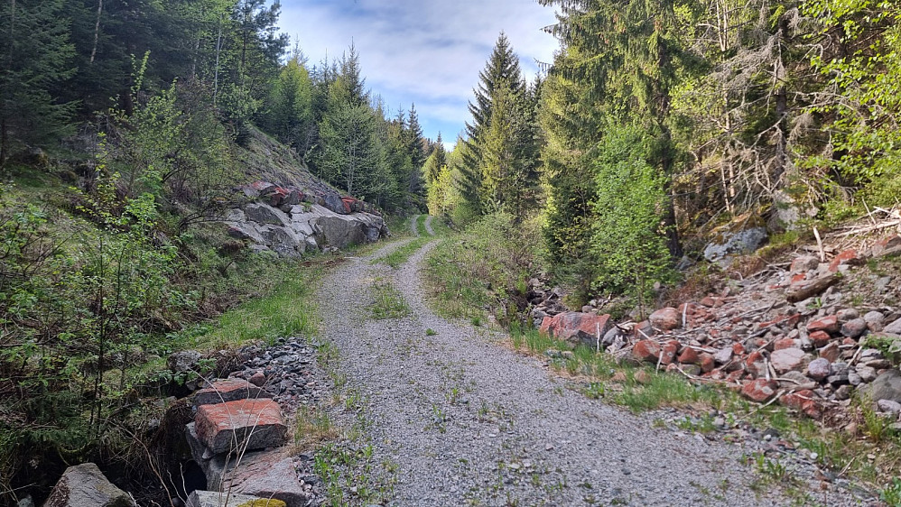 Etter å ha passert en låst bom gikk det greit å sykle opp veien, selv om noen kneiker var veldig bratte