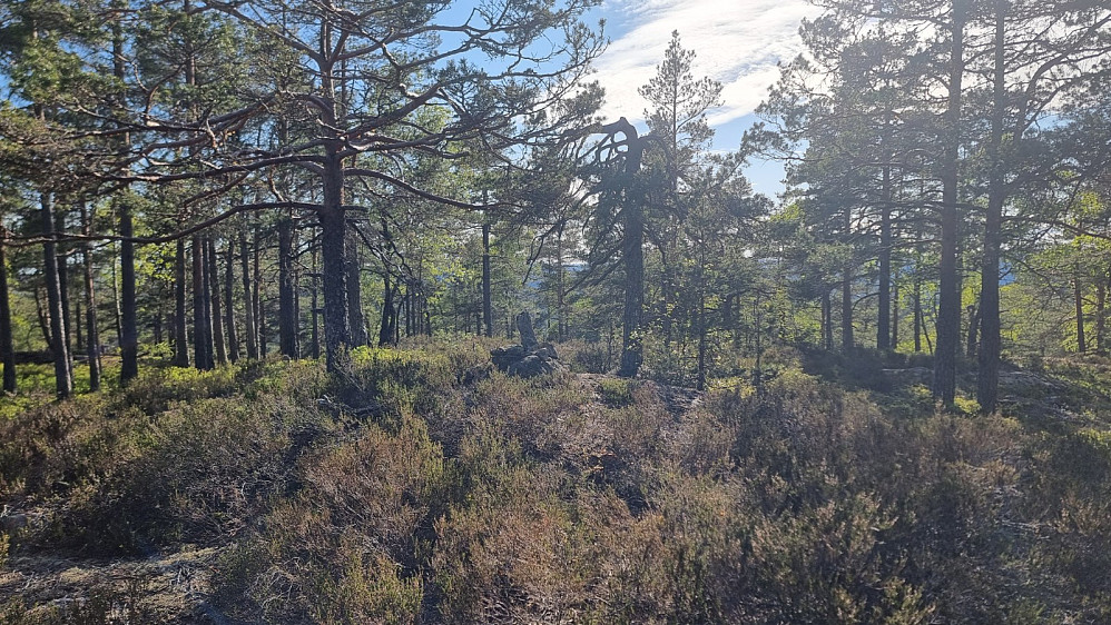 Liten markering på det høyeste punktet. Jeg fant ingen sti her oppe, så det er nok ikke mange folk som tar seg opp hit