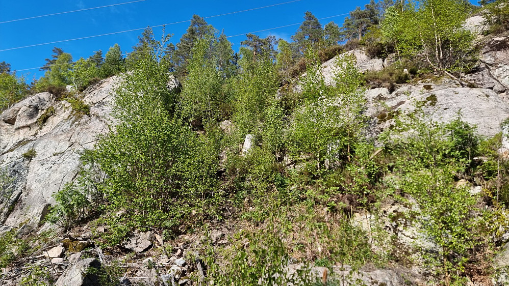 Tilbakeblikk opp bergsiden jeg tok meg ned med sykkelen
