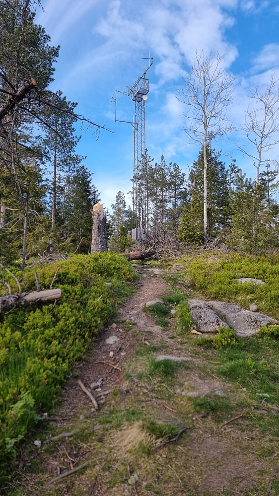 Mast rett nedenfor toppen
