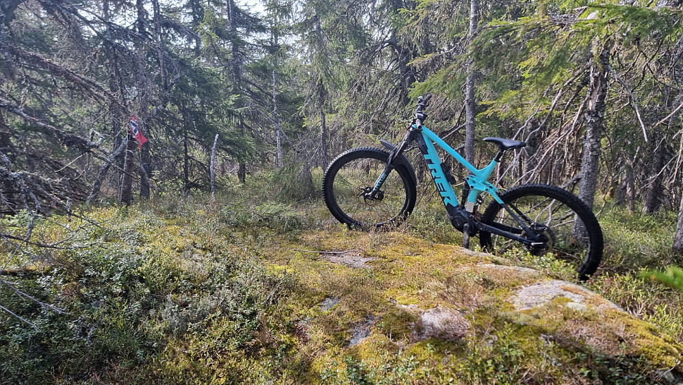 Jeg kunne sykle helt opp på Venehaugane