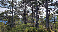 NJK500_20250512_6822027467a2b.jpg