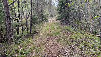 NJK500_20250512_68220276cb9b6.jpg