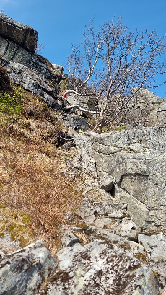 Oppe ved foten av fjellet var det skiltet og jeg kunne følge tydelig og delvis merket sti til toppen