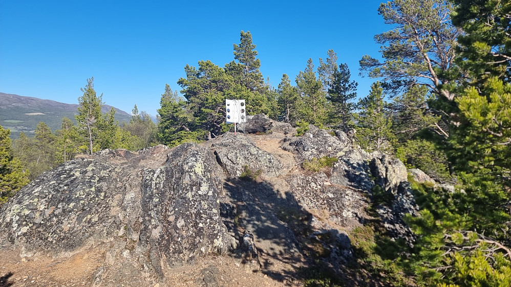 Toppen av Lomskollen
