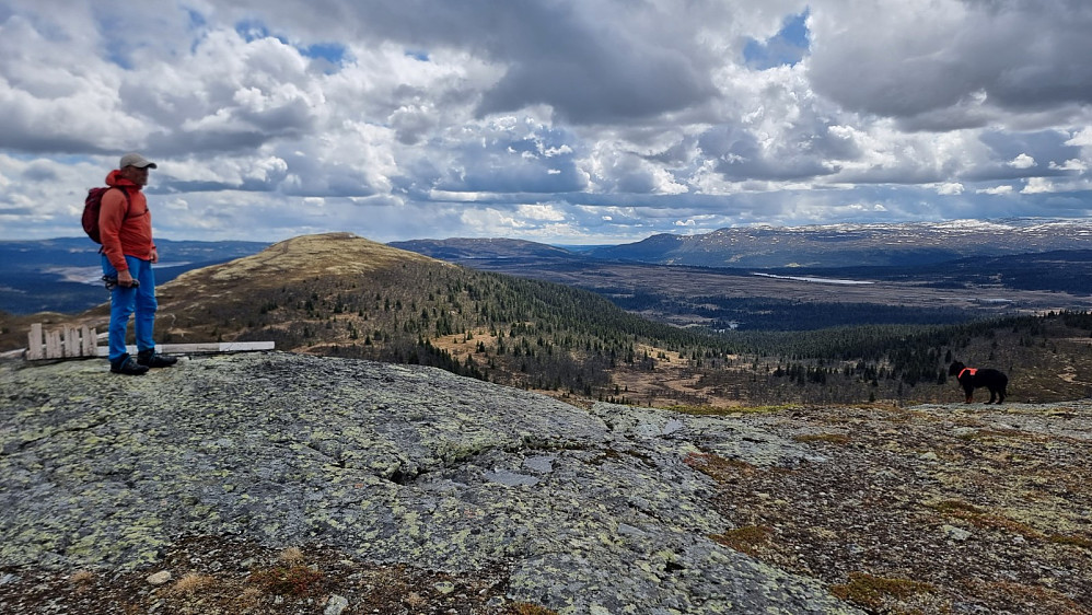Fra Dokkampen og mot Ormtjønnkampen