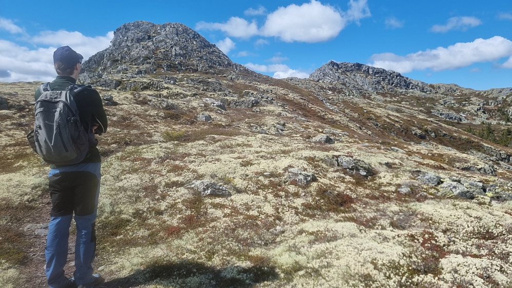 Da var vi ute av skogen og hadde fri sikt opp på toppen