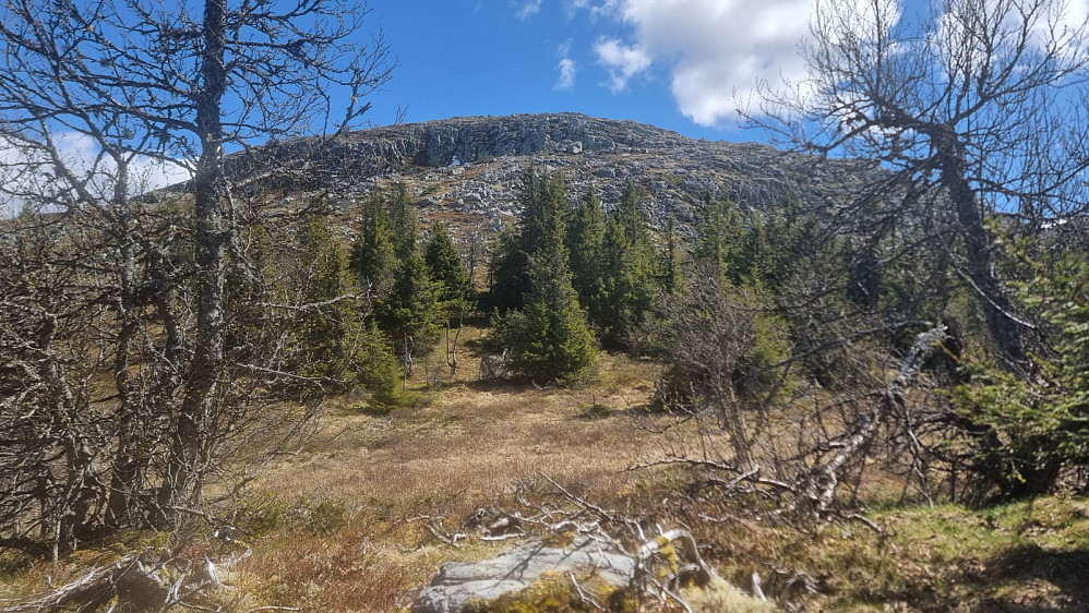 Tilbakeblikk opp mot Djupdalskampen fra skaret mellom toppene