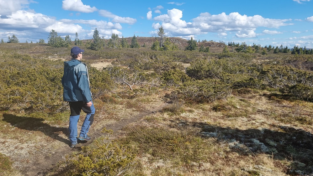 Ikke så langt å gå bort til denne toppen
