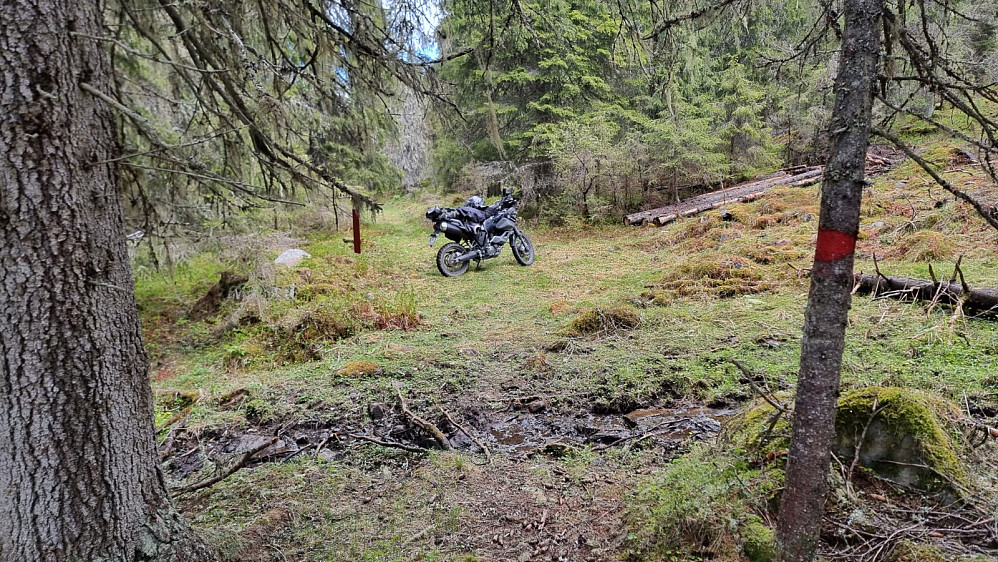Jeg kjørte til veis ende og tok beina fatt på tydelig og merket sti