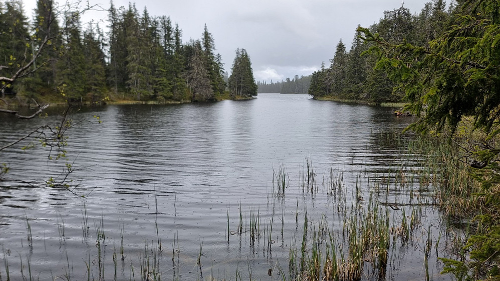 Idyll ved nordenden av Kroktjern. Det begynte nå å regne kraftig i det jeg satte kursen mot Lønstølhaugen