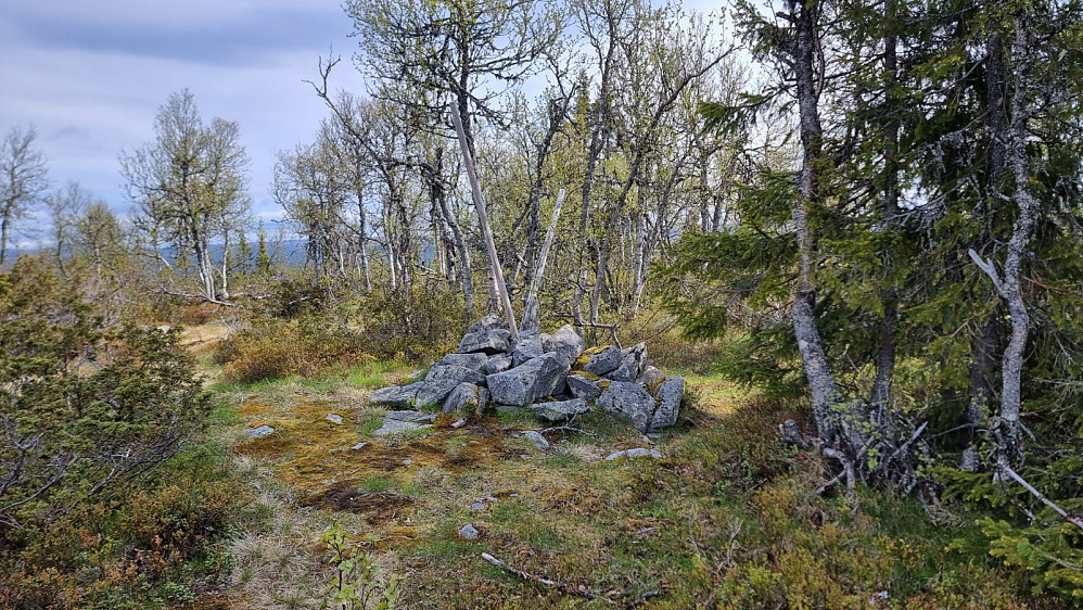 Høyeste punkt på Matfarhaugen