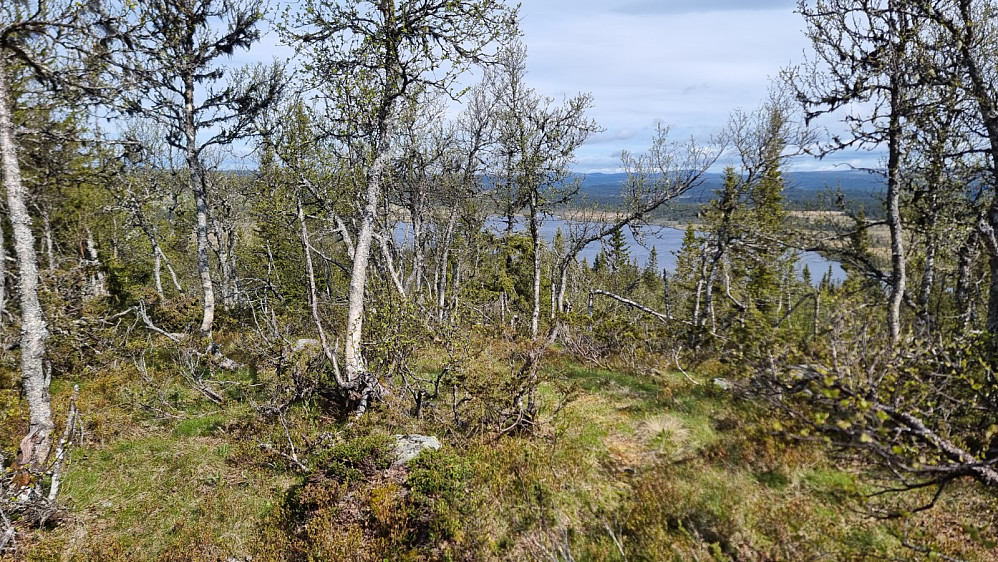 Litt utsikt ned mot Hornsjøen