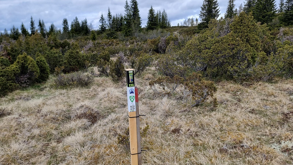 Stolpen stod der den skulle, så dette gikk greit