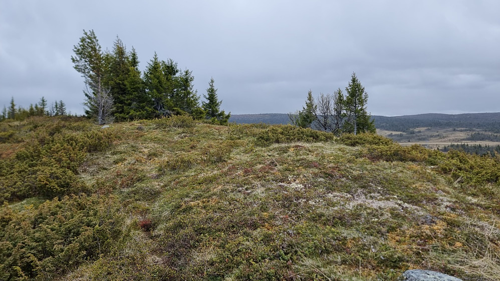 Snart på toppen av Høghaugen