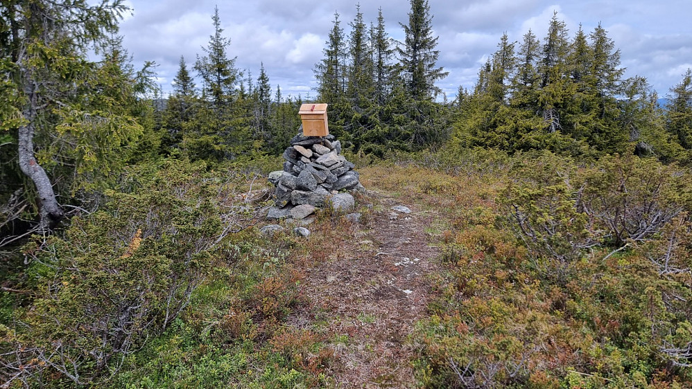 Turkasse på Grøtåshaugen