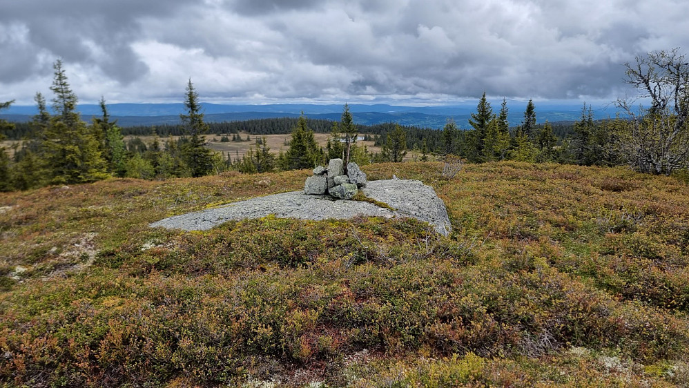 Toppen på Storhaugen bød på flott utsikt
