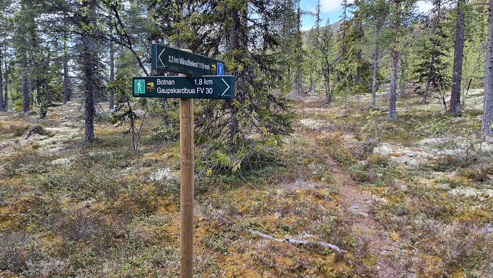 På returen fulgte jeg stien og kom til dette stikrysset litt før parkeringen
