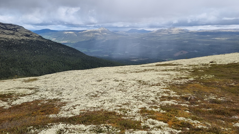En regnskur passerte nede i Tylldalen 