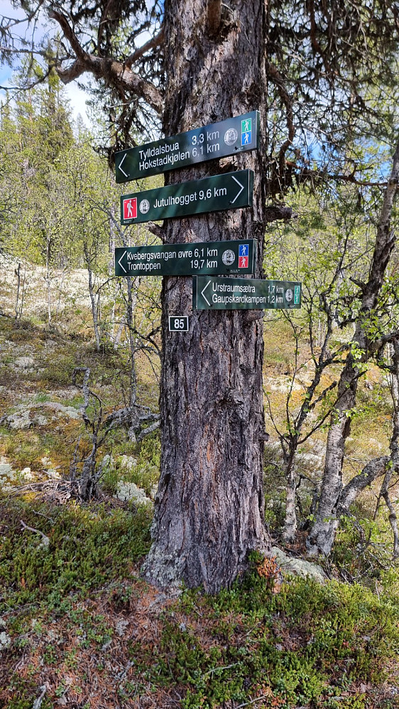 Litt oppe i lia var det skiltet til Gaupskardkampen, så jeg tok av hovedstien