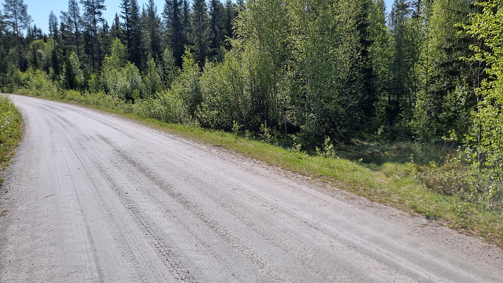 100 meter ovenfor der jeg hadde parkert, startet det skiltet sti i riktig retning