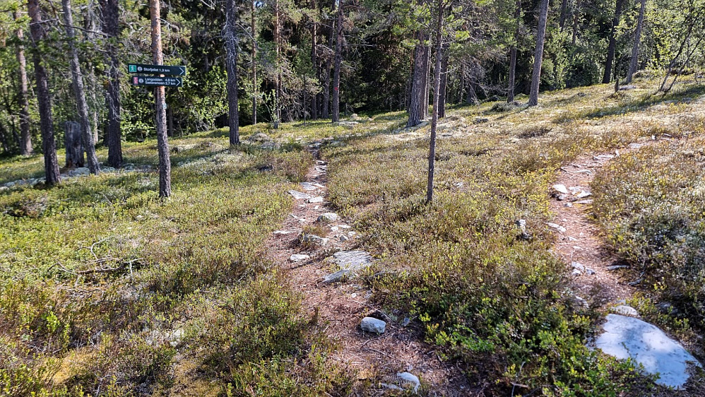 Litt lengre bort var det et nytt skiltet stikryss, og her tok jeg av til høyre mot fjellet