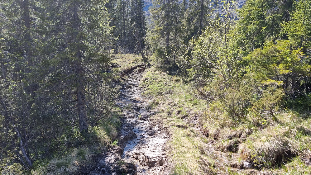 Veien var gått i oppløsning da det var masse leire som vannet grov seg igjennom. Det ble derfor trilling av sykkelen 90 % av veien opp mot skaret