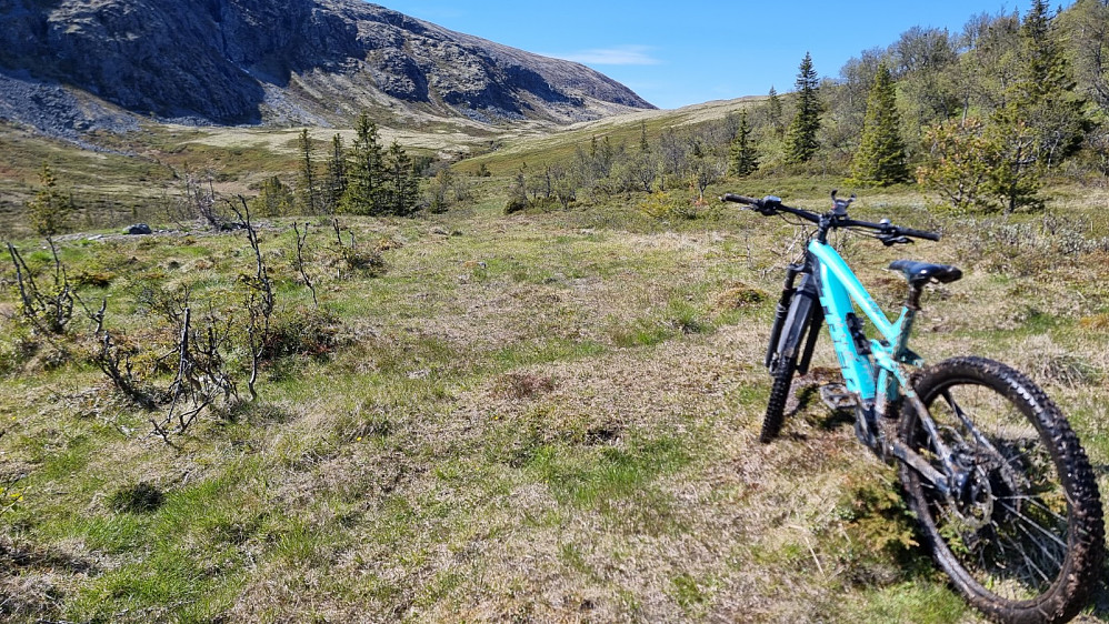 Over tregrensa var det slutt på leira, men da begynte myrene. Jeg ble kliss våt på beina og veldig møkkete