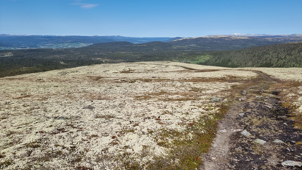 Jeg valgte å sykle ned veien på andre siden av fjellet, i håp om at det ble bedre enn der jeg syklet opp