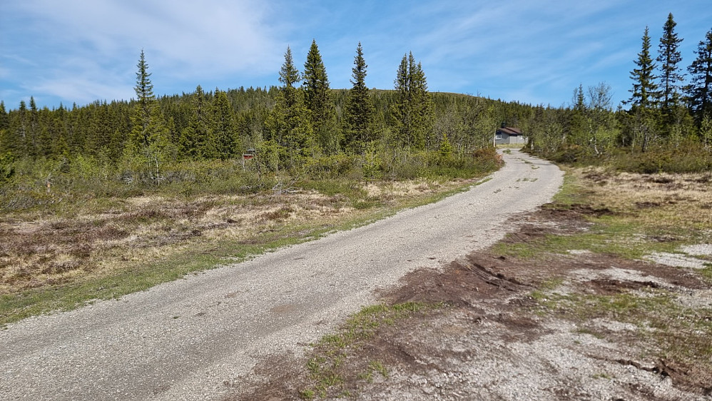 I går satte jeg camp der veien tar av og kunne starte med et par hundre meter på grusvei i dag