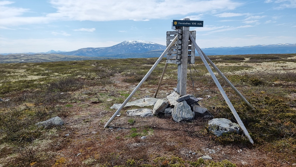 Markering på toppen. Tron i bakgrunnen