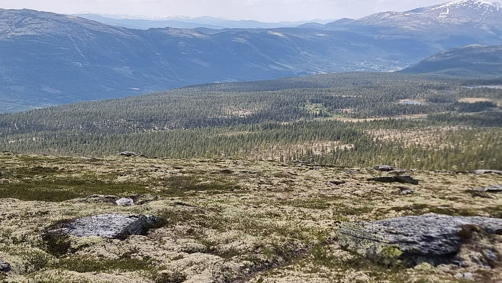 Tilbakeblikk ned mot start