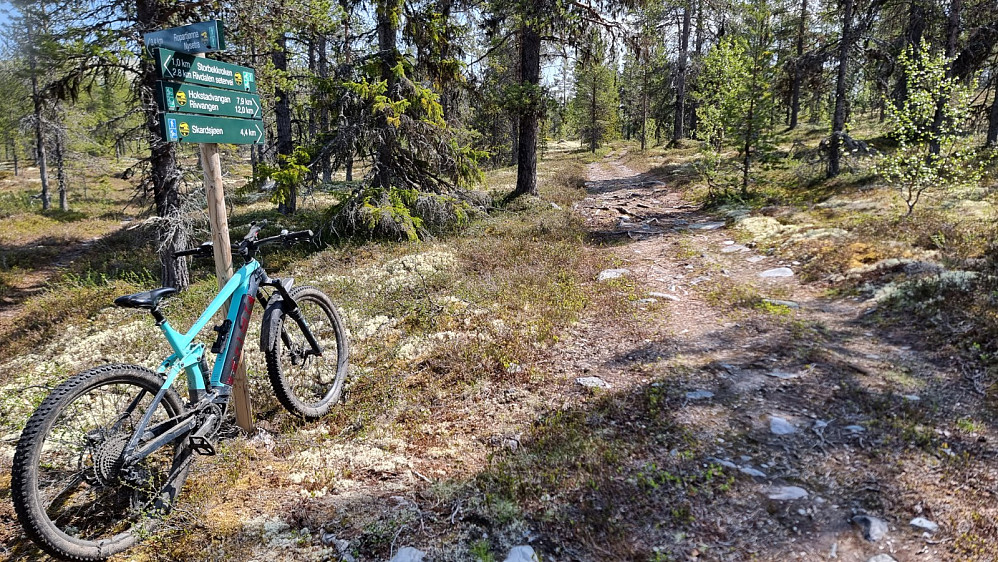 Første stikrysset etter en kilometer, Her hold jeg til høyre da det var kjerrevei som var grei å sykle