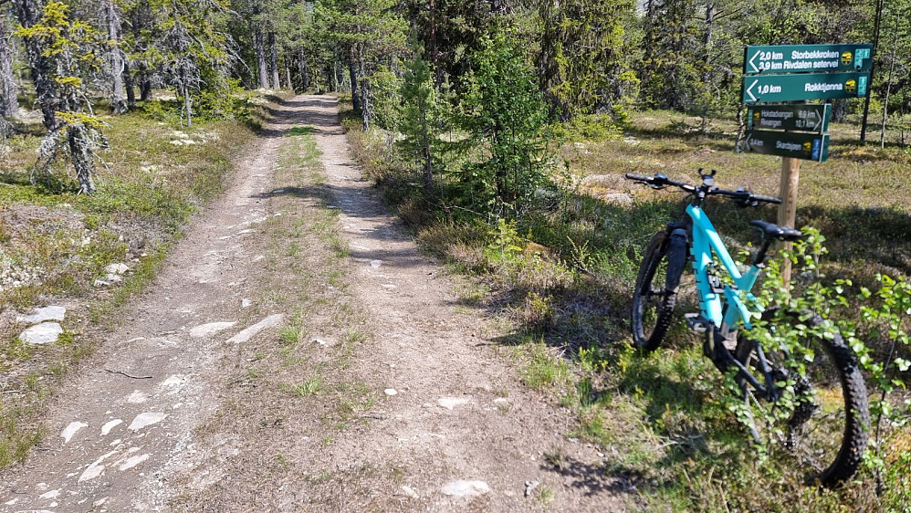 Her kom jeg inn på kjerreveien som går opp mot fjellet