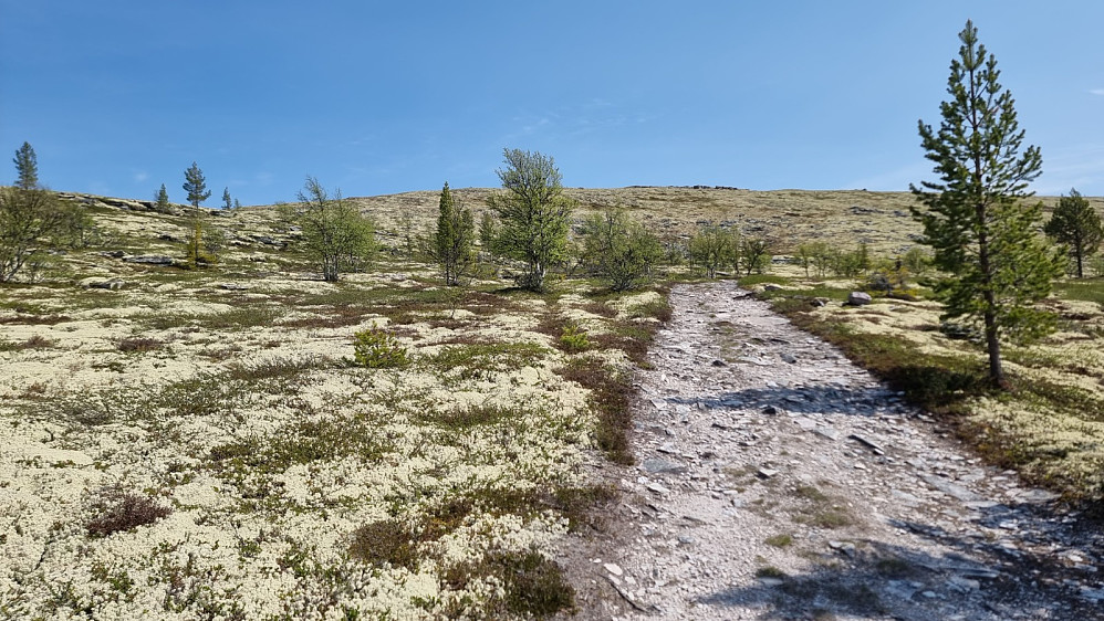 Det var en hard stigning på dårlig vei opp mot fjellet
