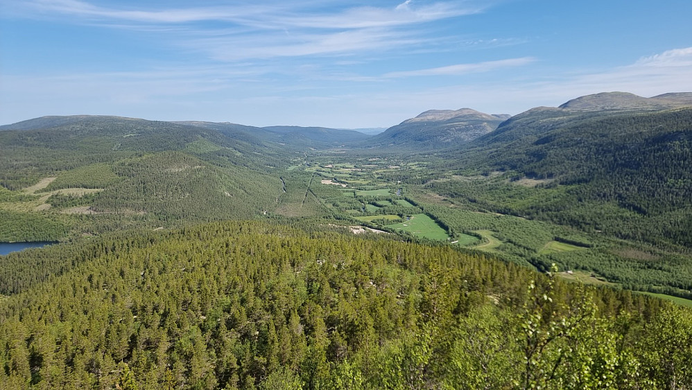 Tilbakeblikk opp Brydalen