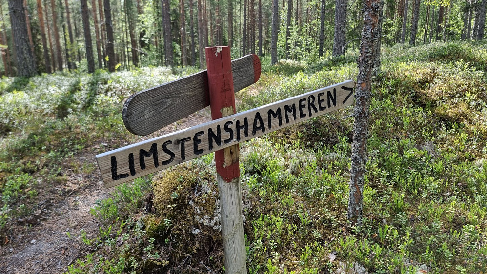 Det var skiltet hit både nede og oppe i stien, men jeg valgte å droppe den da stien var utydelig