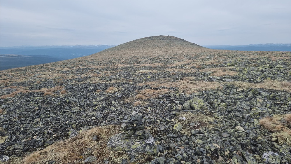 Oppe på fjellet var det et lite flatt stykke å gå bort til høyeste punkt