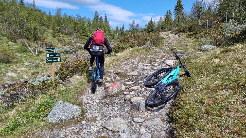 En del rufsete partier krevde hard innsats