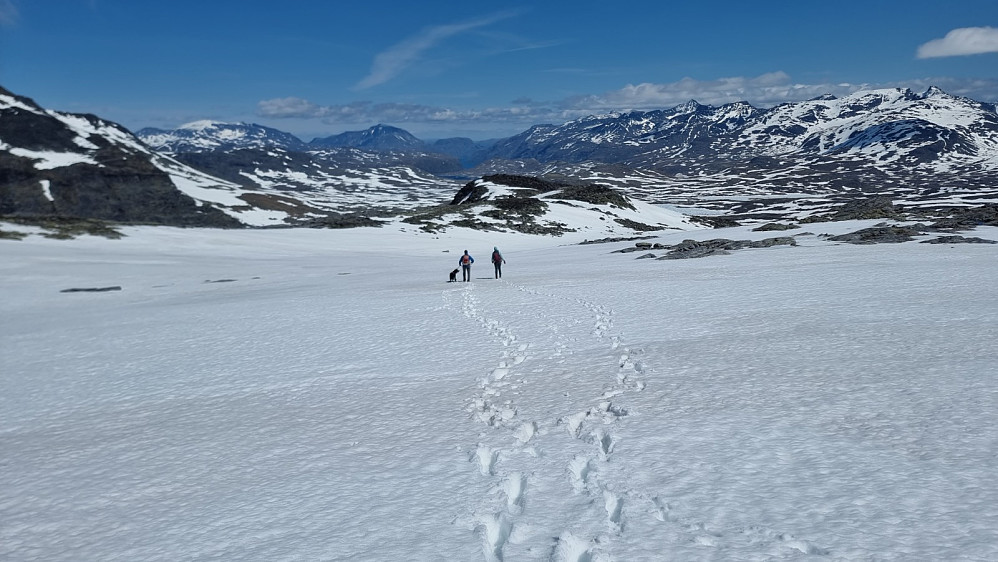 Ganske våt snø gjorde det tungt å gå