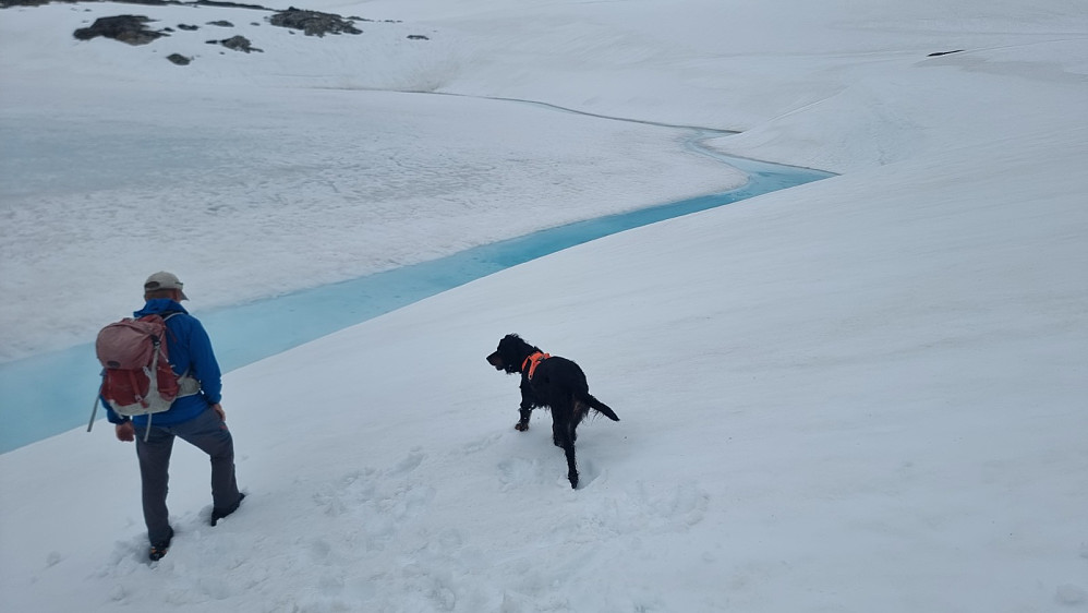 Flott farge på vannet i dette tjernet