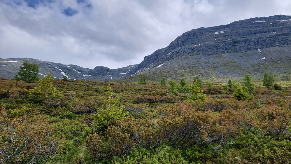 Deretter ble det å følge diverse sauetråkk i jevn motbakke inn mot fjellet. Heldigvis ble det litt avbrekk med litt klyving i selve fjellsiden