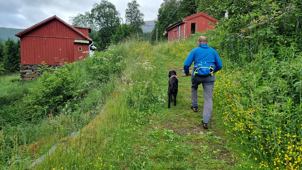 Vi fulgte hovedveien opp til der den gamle vegen tar av og fikk en flott start i blomsterenga