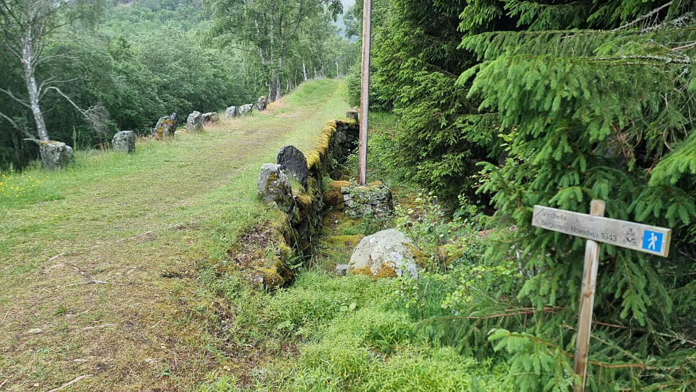 Flott veianlegg dette