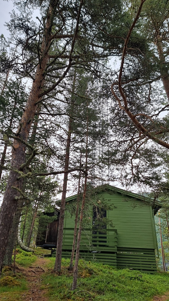 Antenne på toppen