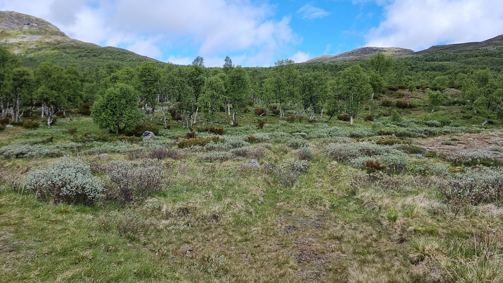 Ved turstart gikk det en tydelig sti opp lia mot fjellet