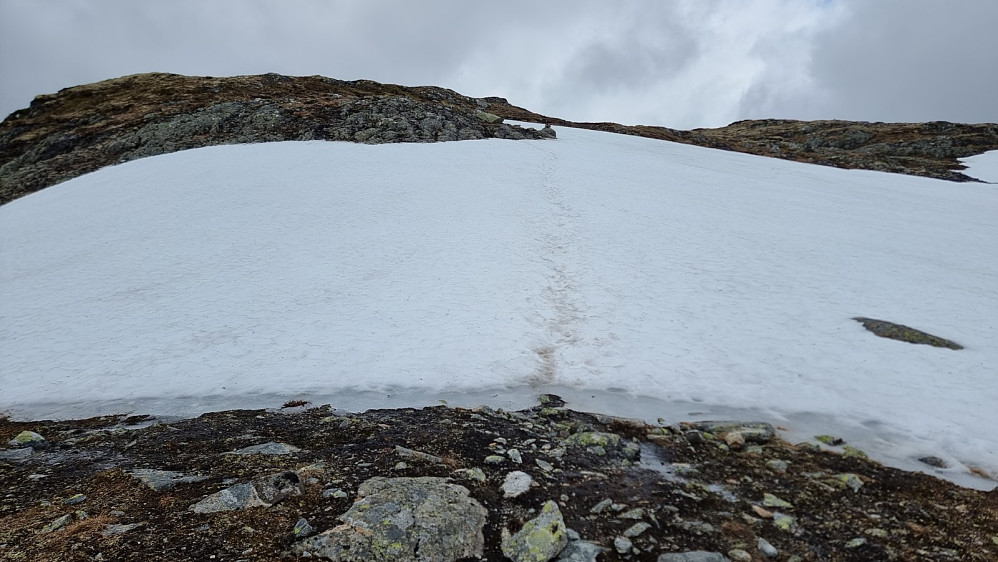 Noen snøfonner i dag også