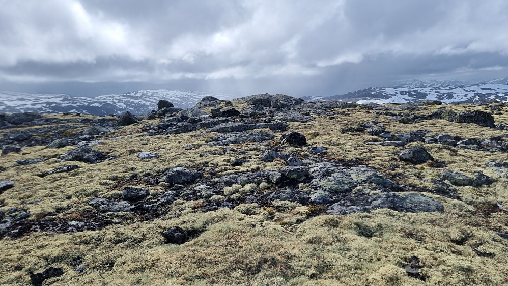 En kraftig regnfront nærmet seg raskt, og det begynte å regne før jeg var nede av fjellet. Det ble en våt siste etappe på sykkelen ned til bilen