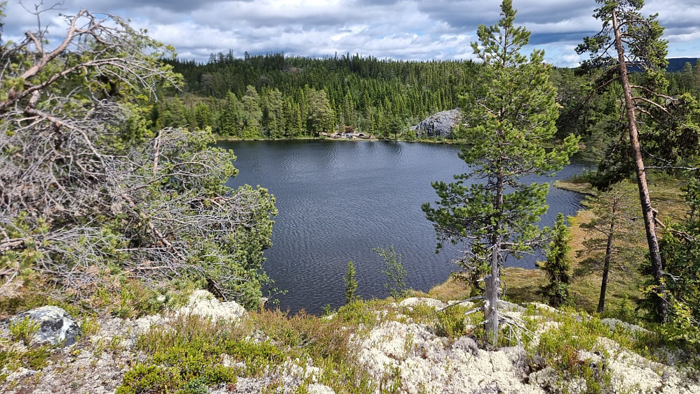 Fra toppen og ned på tjernet
