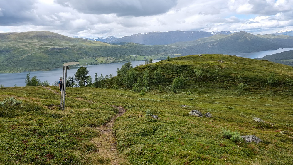 Det stod en stolpe på denne haugen